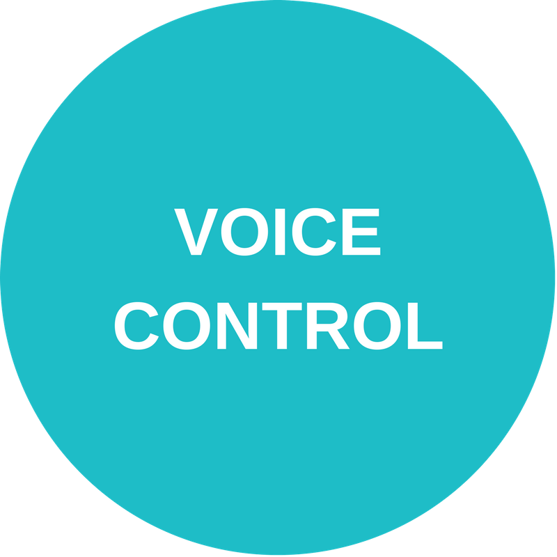 Voice Control Trend [Category - Technology]